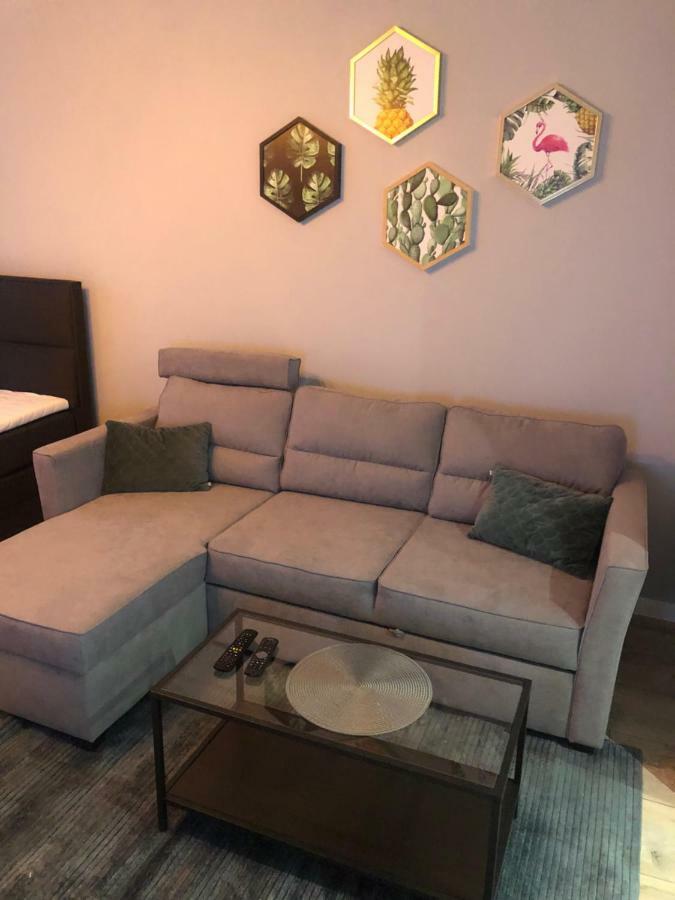 Apartament Flaming Z Balkonem - Scisle Centrum Naprzeciwko Pkp I Pks - Self Check In - Darmowy Parking - Pozne Wymeldowanie - Wystawiamy Fv Οπόλε Εξωτερικό φωτογραφία